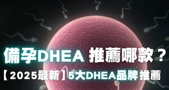 【2025最新】DHEA推薦5大品牌